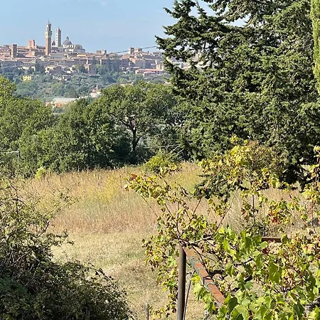 Βίλα Vignano: Vicino Centro