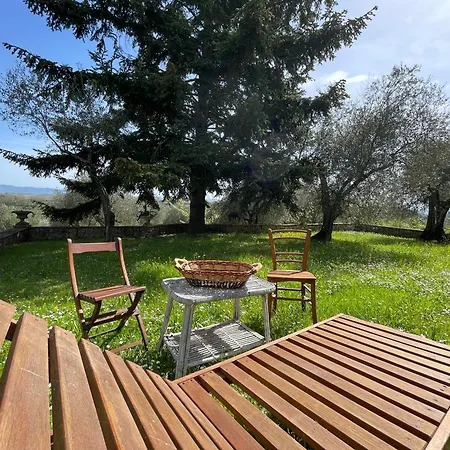 Vignano: Vicino Centro Σιένα