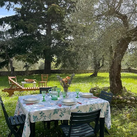 Villa Vignano: Vicino Centro *